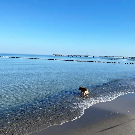 5 Sterne Strandblick * Wustrow