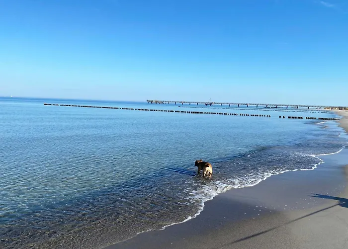 5 Sterne Strandblick * Wustrow (Fischland)